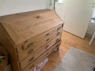 Fyrretræs chatol