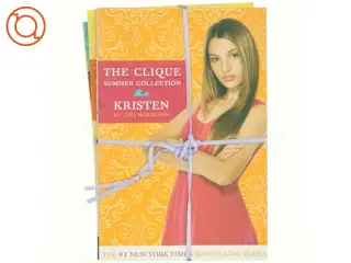Complete YA Young Adult Book Series The Cliques Summer Collection af Lisi Harrison (Bog)