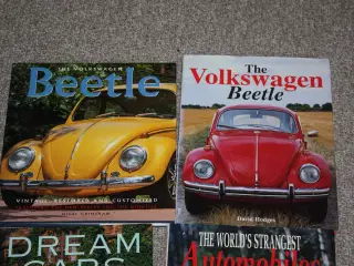 The Volkswagen Beetle