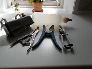 Fåregrej