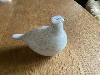 Dalrype 1981 og Rød Kardinal 2004 OIVA TOIKKA