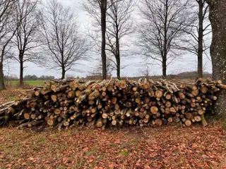 Flot egebrænde af høj kvalitet