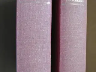 danmarks gilde- og lavsskraaer fra middelalderen, 