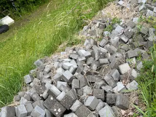 Kopsten 10 x 10