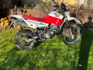 YAMAHA XT 600. Off-Roader