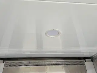 10 fods Køle/Frys Container