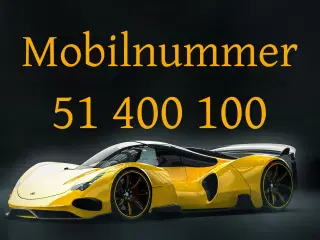 Guldnummer 51 400 100