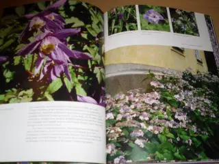 Flot bog. FARVER i Haven. Jane Schul.