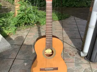 Akustisk guitar