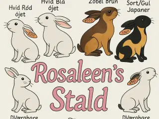 Rosaleen's Stald