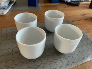 Krus “hvidpot”