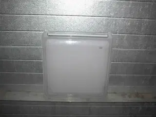   Toilet Rude