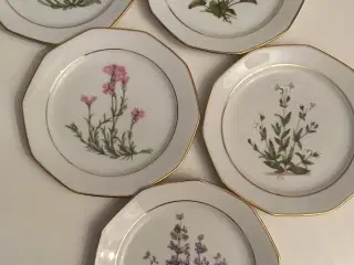 Svaneholm blomstermotiv tallerkener