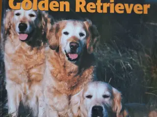 Golden Retriever -Dansk Kennel Klub