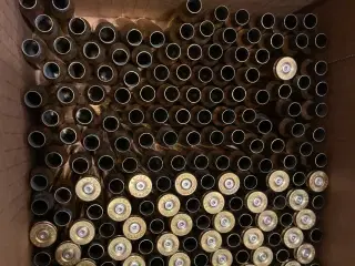 Lapua 6,5x55 hylstre