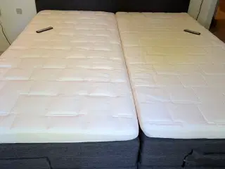 Elevationsseng