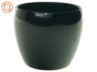 Potte fra Blum (str. 15 x 14 cm)