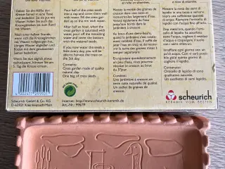 Karsebakke. Dyrk din egen karse