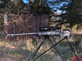 Bergara B14 Wilderness HMR 300PRC