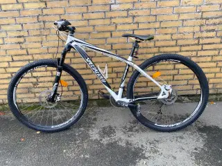 Nyserviceret Specialized Expert curve 29” mtb 
