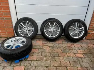 Vinterhjul med fælge