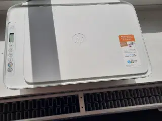 Hp Printer