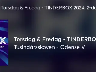 Tinderbox billet torsdag-fredag 2024: 2-dagsbillet