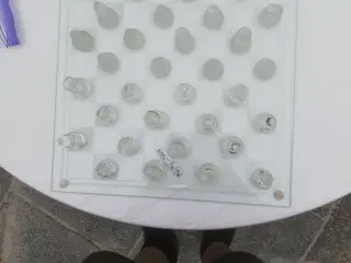 Skakspil / brætspil med brikker i glas 