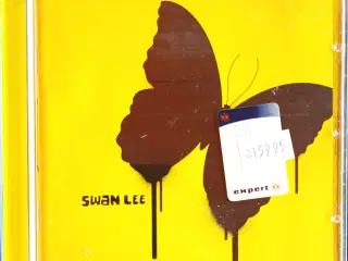 Swan Lee