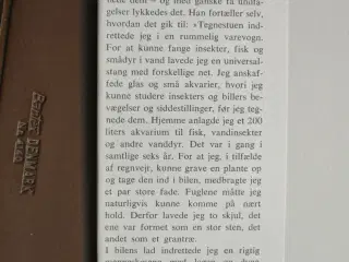 årstiderne 1-4 - foråret, sommeren, efteråret