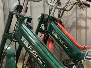 Puch