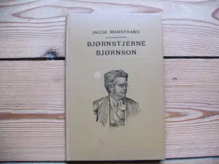 Bjørnstjerne Bjørnson – en livsskildring