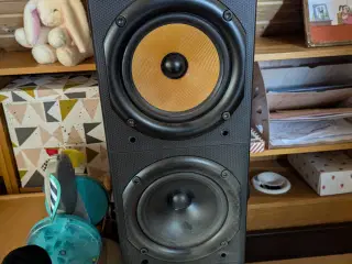 B&W DM 604 (Bowers And Wilkinson)