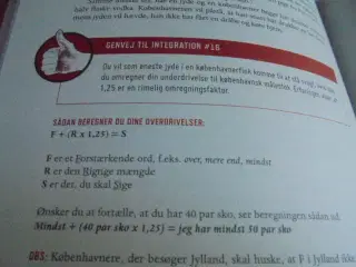 Jydens håndbog til overlevelse i København 