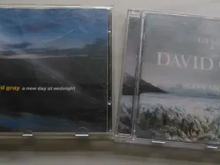 David Gray: 2 CD'er stk. 22 kr. 