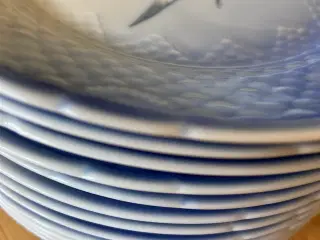 12 Måge tallerkener Ø17 cm 2. sort.