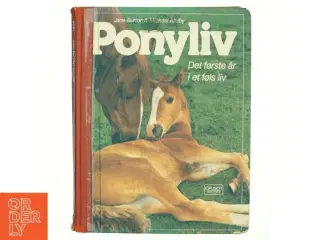 Ponyliv, det første år i et føls liv