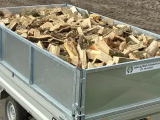 Ny fældet og kløvet løv træ