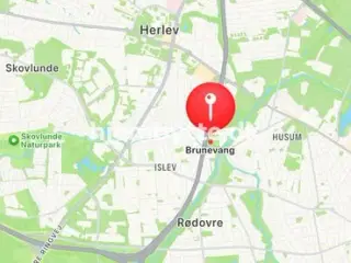 Hjembytte - Brunevang