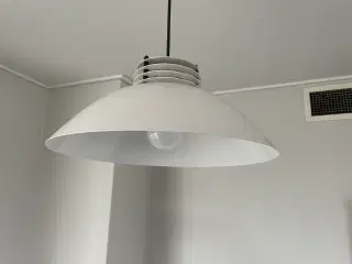 Laterna danika