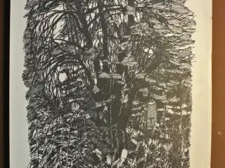 assistens kirkegaard, af jørgen bispelund knudsen,