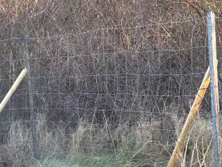 Vildt hegn sælges Ca. 60 meter inkl. Stolper