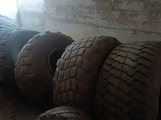 - - - - - -