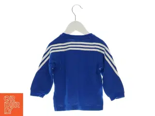 Sæt med bluse og bukser fra Adidas (str. 9-12 mdr.)