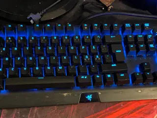 Razer blackwidow elite gaming keyboard