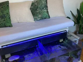 Akvarie Fiskespa