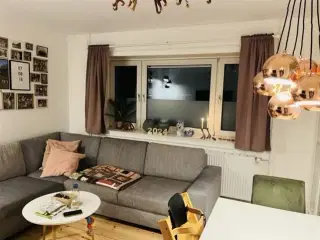 Looking for roommate to spacious room in my apartment in Vanløse, Valby, København