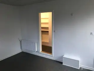 Velbeliggende erhvervslokale udlejes