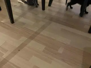 sødeste, dejligste kattekillinger