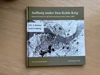 Aalborg under Den Kolde Krig